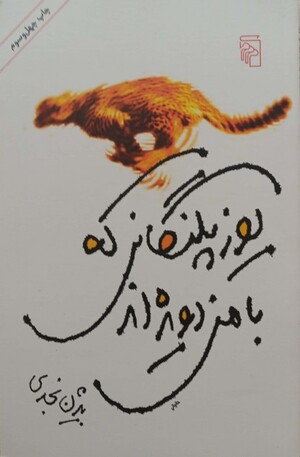 یوزپلنگانی که با من دویده اند (مجموعه داستان کوتاه)